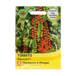 Thompson & Morgan Tomato Rapunzel