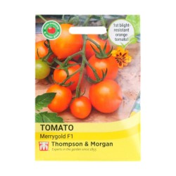 Thompson & Morgan Tomato Merrygold