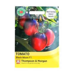 Thompson & Morgan Tomato Black Moon