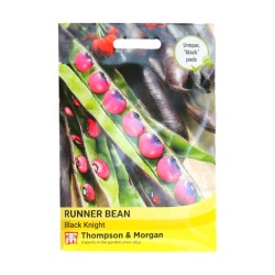 Thompson & Morgan Runner Bean Black Knight