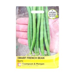 Thompson & Morgan Dwarf French Bean Quartz