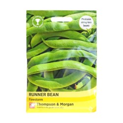 Thompson & Morgan Runner Bean Firestorm