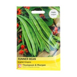 Thompson & Morgan Runner Bean Scarlet Empire