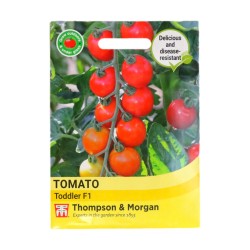 Thompson & Morgan Tomato Toddler