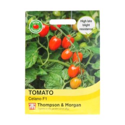 Thompson & Morgan Tomato Celano