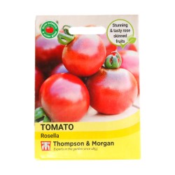 Thompson & Morgan Tomato Rosella