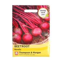 Thompson & Morgan Beetroot Morello