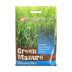 Thompson & Morgan Green Manure Grazing Rye