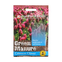Thompson & Morgan Green Manure Crimson Clover