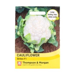 Thompson & Morgan Cauliflower Britex