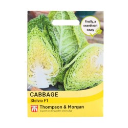 Thompson & Morgan Cabbage Stelvio