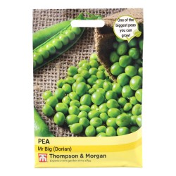 Thompson & Morgan Pea Mr Big