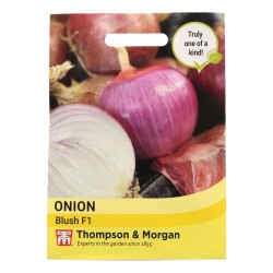 Thompson & Morgan Onion Blush F1