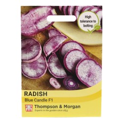 Thompson & Morgan Radish Blue Candle F1