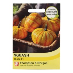 Thompson & Morgan Squash Blaze F1