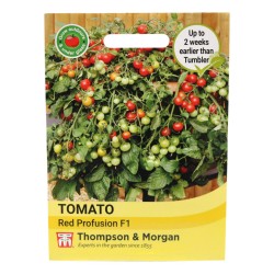 Thompson & Morgan Tomato Red Profusion