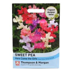 Thompson & Morgan Sweet Pea Here Comes The Girls