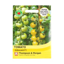Thompson & Morgan Tomato Iridescent