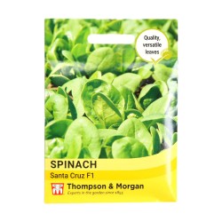Thompson & Morgan Spinach Santa Cruz