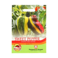 Thompson & Morgan Sweet Pepper Jester