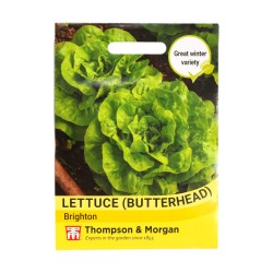 Thompson & Morgan Lettuce Brighton