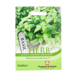 Thompson & Morgan Herb Basil Verde Sure