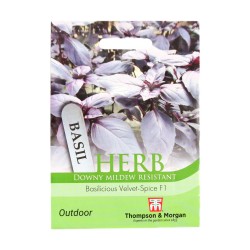 Thompson & Morgan Herb Basil Velvet Spice