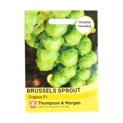 Thompson & Morgan Brussels Sprout Cryptus