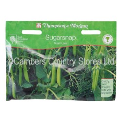 Thompson & Morgan Sugarsnap Sugar Lace