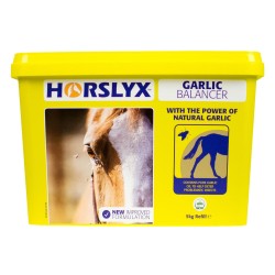 Horslyx Balancer Lick Garlic 5kg