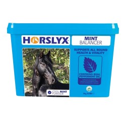 Horslyx Balancer Lick Mint 5kg