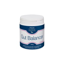 Protexin Gut Balancer 400g