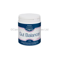 Protexin Gut Balancer 400g