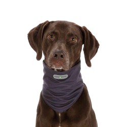 Trixie Insect Shield Dog Bandana Loop