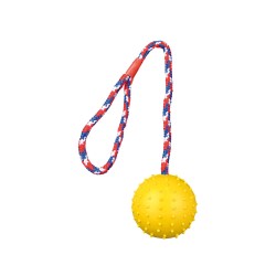 Trixie Ball On A Rope Rubber Dog Toy