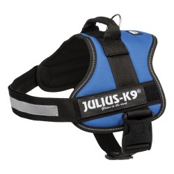 Julius-K9 Power Harness