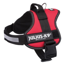 Julius-K9 Power Harness