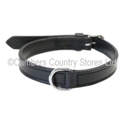 Trixie Active Leather Dog Collar