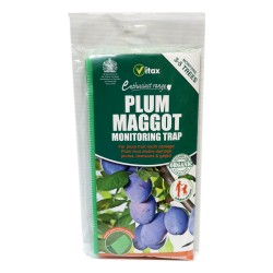 Vitax Plum Maggot Monitoring Trap
