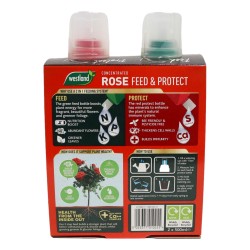 Westland Rose Feed & Protect 2in1 500ml